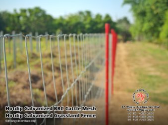 BP Wijaya Security Fence Manufacturer Malaysia Hotdip Galvanized BRC Cattle Mesh Hotdip Galvanized Grassland Fence Iron Field Fence Horse Cow Animals Farm Fence with Mesh Hinge Joint Knot Field Fence Mesh A13