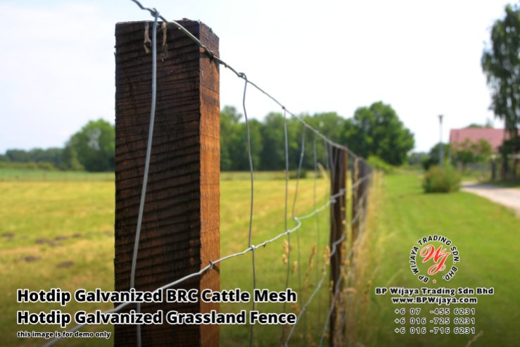 BP Wijaya Security Fence Manufacturer Malaysia Hotdip Galvanized BRC Cattle Mesh Hotdip Galvanized Grassland Fence Iron Field Fence Horse Cow Animals Farm Fence with Mesh Hinge Joint Knot Field Fence Mesh A14