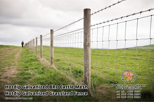 BP Wijaya Security Fence Manufacturer Malaysia Hotdip Galvanized BRC Cattle Mesh Hotdip Galvanized Grassland Fence Iron Field Fence Horse Cow Animals Farm Fence with Mesh Hinge Joint Knot Field Fence Mesh A15