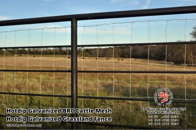 BP Wijaya Security Fence Manufacturer Malaysia Hotdip Galvanized BRC Cattle Mesh Hotdip Galvanized Grassland Fence Iron Field Fence Horse Cow Animals Farm Fence with Mesh Hinge Joint Knot Field Fence Mesh A17
