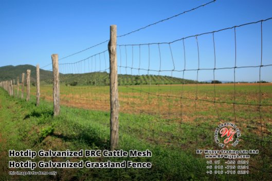 BP Wijaya Security Fence Manufacturer Malaysia Hotdip Galvanized BRC Cattle Mesh Hotdip Galvanized Grassland Fence Iron Field Fence Horse Cow Animals Farm Fence with Mesh Hinge Joint Knot Field Fence Mesh A23