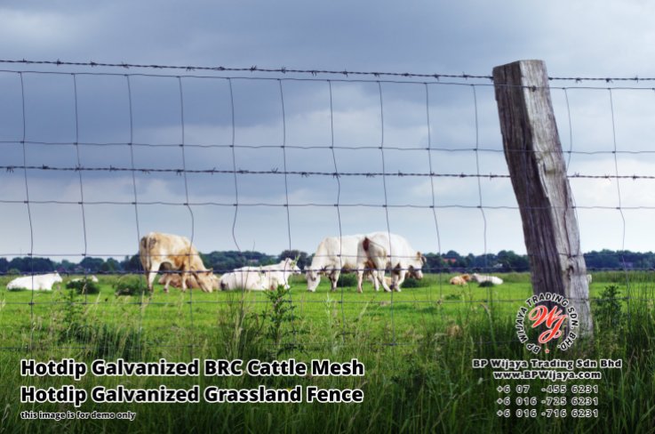 BP Wijaya Security Fence Manufacturer Malaysia Hotdip Galvanized BRC Cattle Mesh Hotdip Galvanized Grassland Fence Iron Field Fence Horse Cow Animals Farm Fence with Mesh Hinge Joint Knot Field Fence Mesh A25
