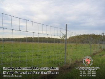 BP Wijaya Security Fence Manufacturer Malaysia Hotdip Galvanized BRC Cattle Mesh Hotdip Galvanized Grassland Fence Iron Field Fence Horse Cow Animals Farm Fence with Mesh Hinge Joint Knot Field Fence Mesh A27