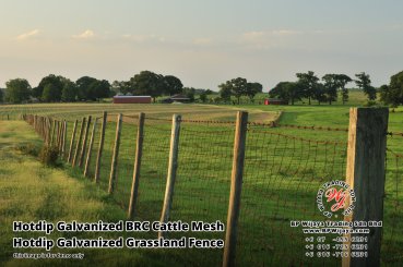 BP Wijaya Security Fence Manufacturer Malaysia Hotdip Galvanized BRC Cattle Mesh Hotdip Galvanized Grassland Fence Iron Field Fence Horse Cow Animals Farm Fence with Mesh Hinge Joint Knot Field Fence Mesh A28
