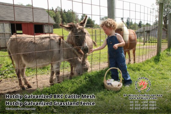 BP Wijaya Security Fence Manufacturer Malaysia Hotdip Galvanized BRC Cattle Mesh Hotdip Galvanized Grassland Fence Iron Field Fence Horse Cow Animals Farm Fence with Mesh Hinge Joint Knot Field Fence Mesh A30